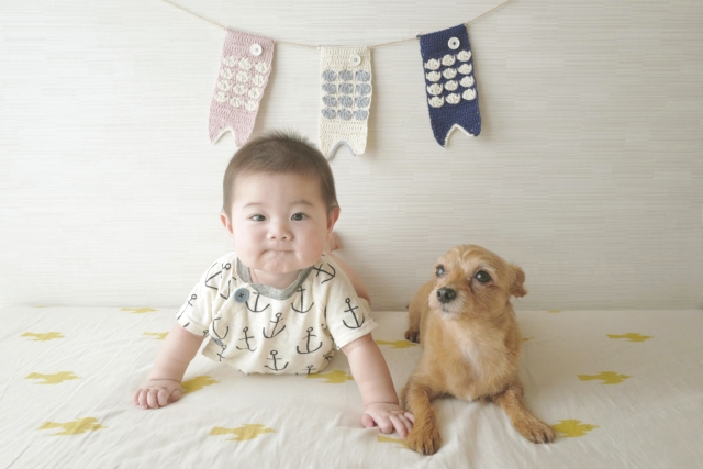 ウブドの森と愛犬お宿のキッズアメニティ