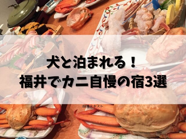 【福井の宿3選】ペットと泊まれる宿でカニ料理が自慢の宿！犬連れ旅行ガイド