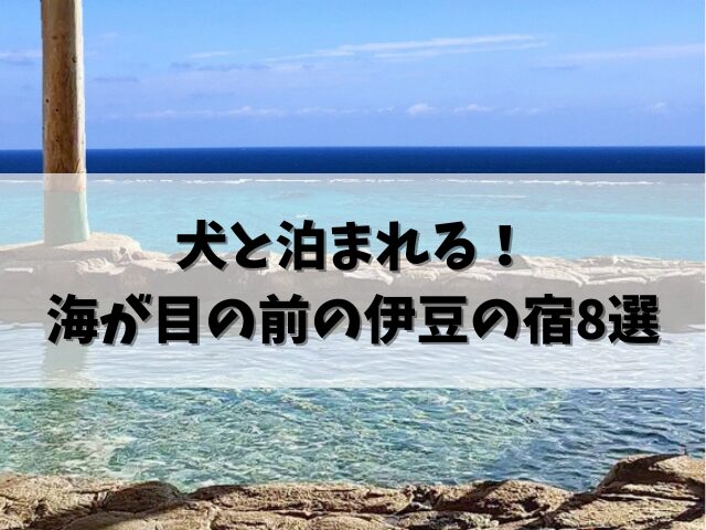 【伊豆おすすめ8選】海が目の前でペットと泊まれる宿！愛犬と楽しむ旅ガイド