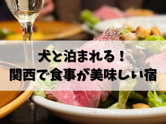 【関西おすすめ10軒】ペットと泊まれる宿で食事が美味しいと評判の宿泊施設