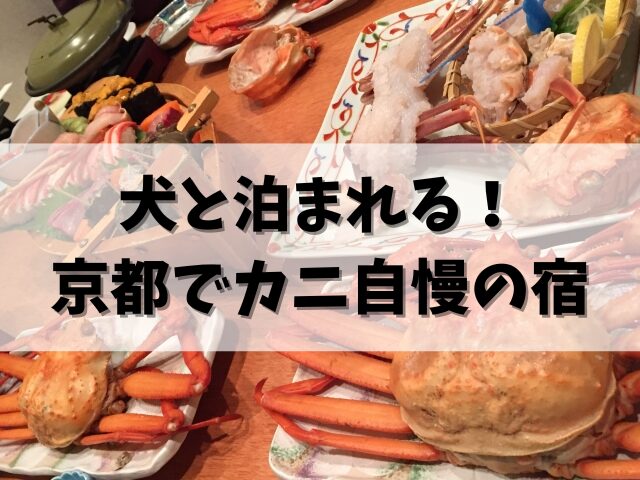 【京都の宿5選】ペットと泊まれるカニ料理が自慢の宿！愛犬と楽しむ旅ガイド