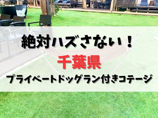 【絶対ハズさない】千葉県のプライベートドッグラン付きコテージおすすめガイド