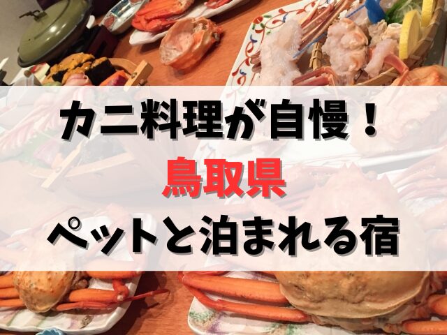 鳥取県のペットと泊まれる宿でカニ料理が絶品の宿