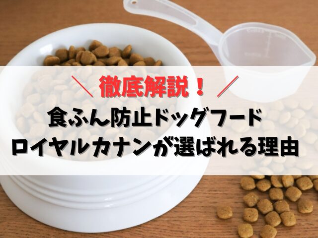 食ふん防止ドッグフードにロイヤルカナンが選ばれる理由と効果は？