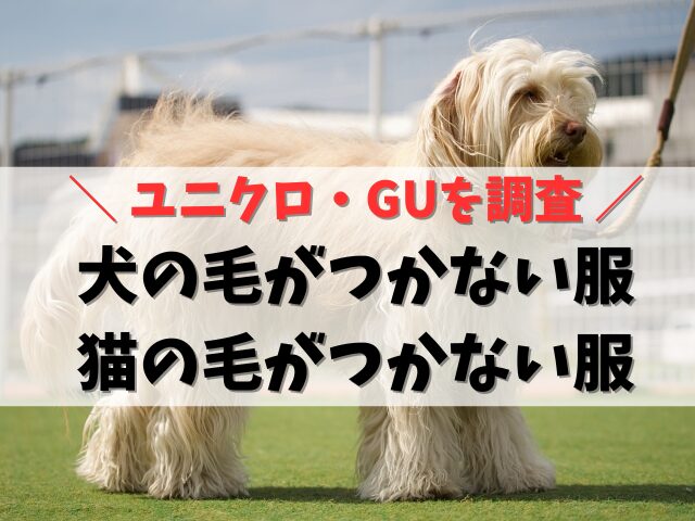 犬の毛がつかない服ユニクロで発見！GUで買える猫の毛がつかない服