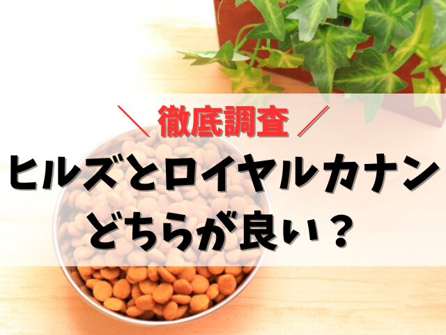 ヒルズとロイヤルカナンどちらが良い？愛犬に最適なドッグフード選び方