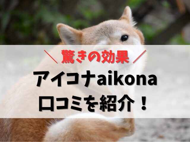 アイコナ犬口コミ