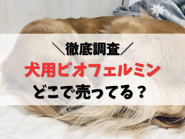 犬用ビオフェルミン どこで売ってる