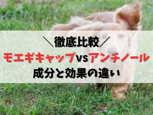 モエギキャップとアンチノールプラスの違い