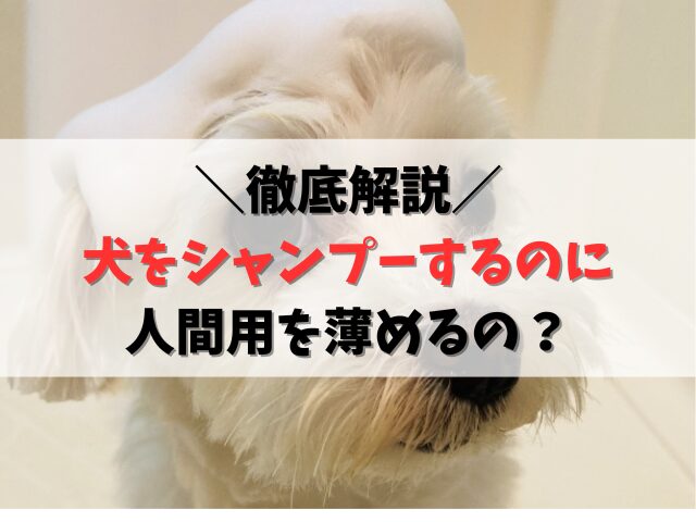 犬をシャンプーするのに人間用を薄めるのは