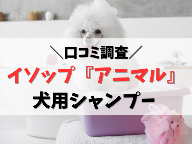 イソップ犬用シャンプーの口コミ