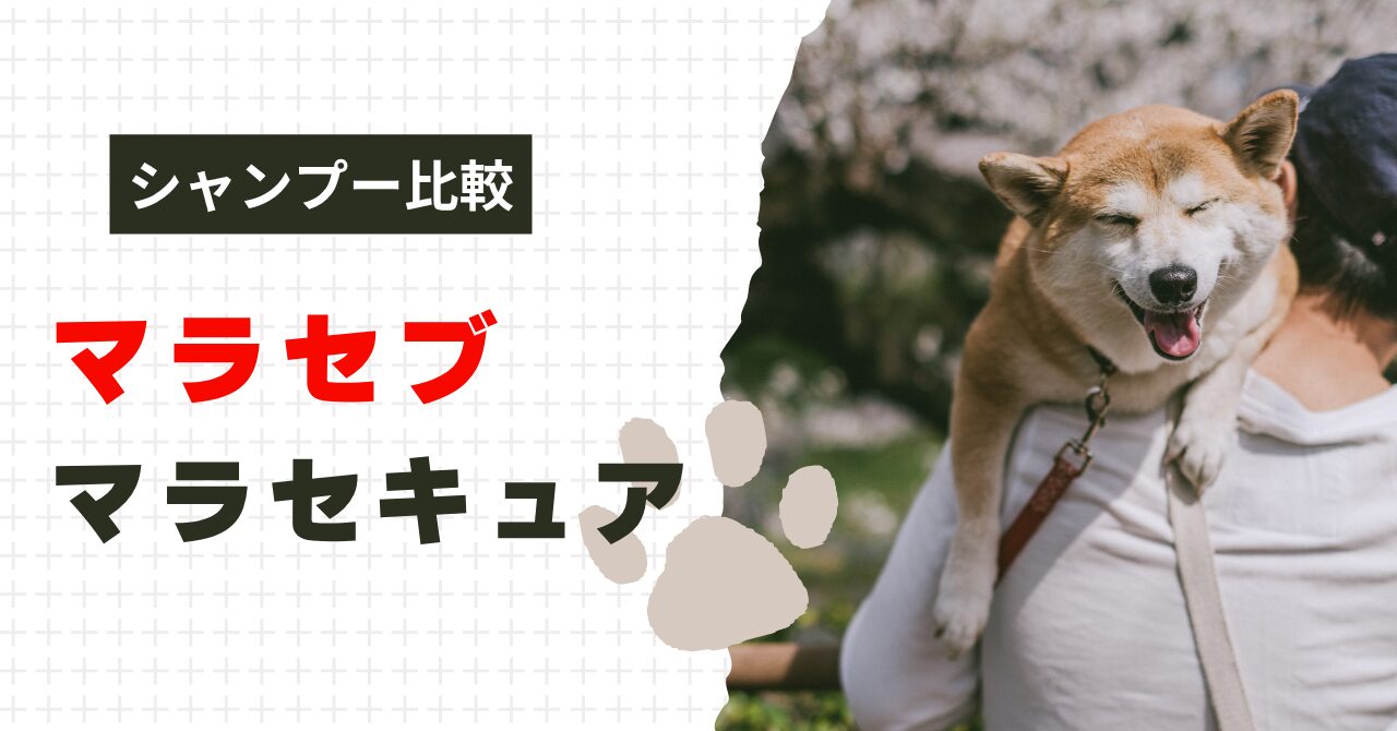 マラセブシャンプーとマラセキュアの違い