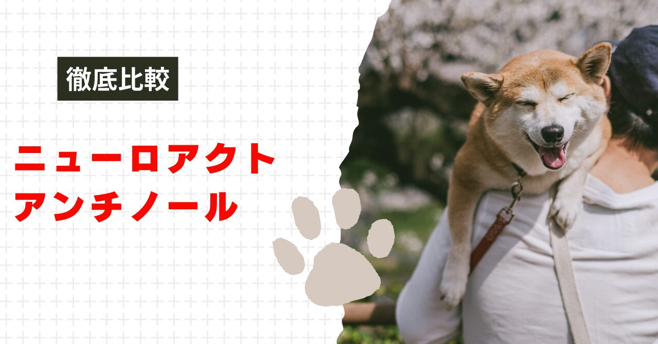 ニューロアクトとアンチノールの違い