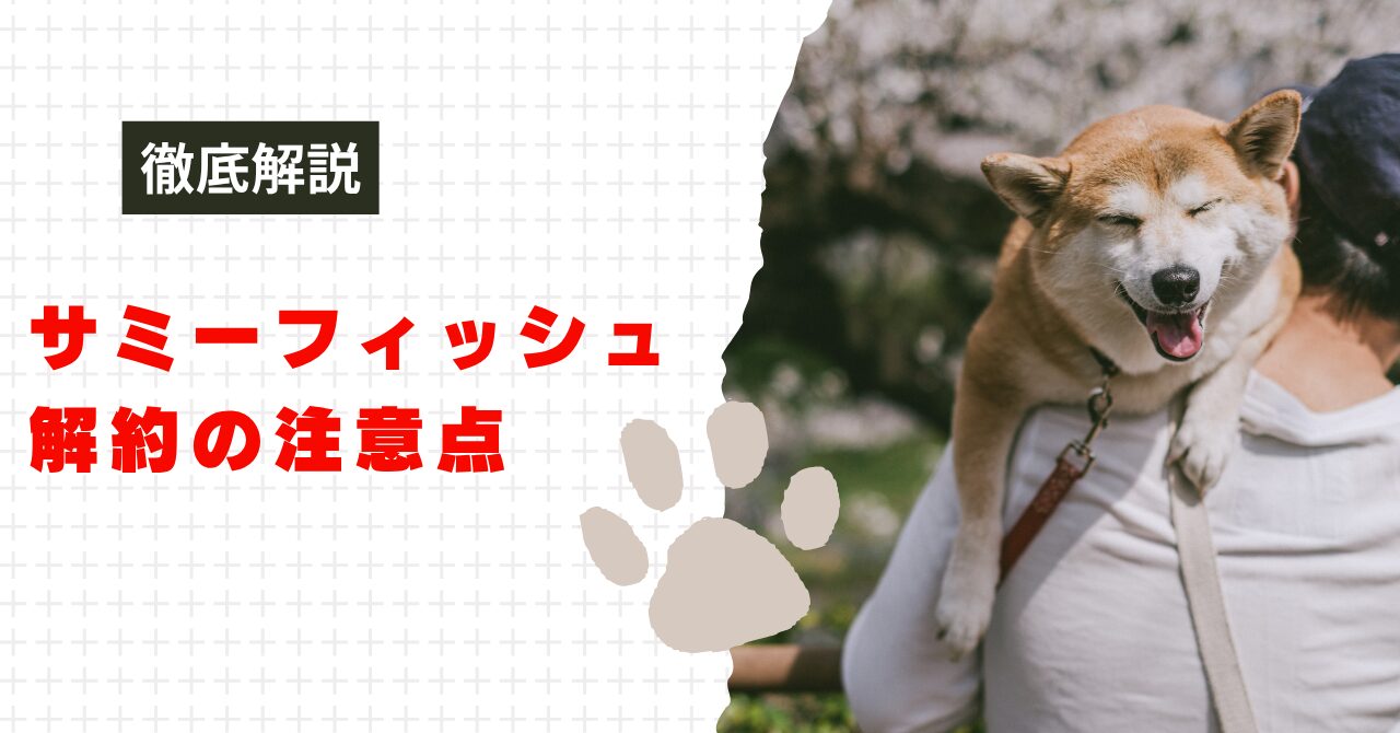 サミーフィッシュの解約の注意点