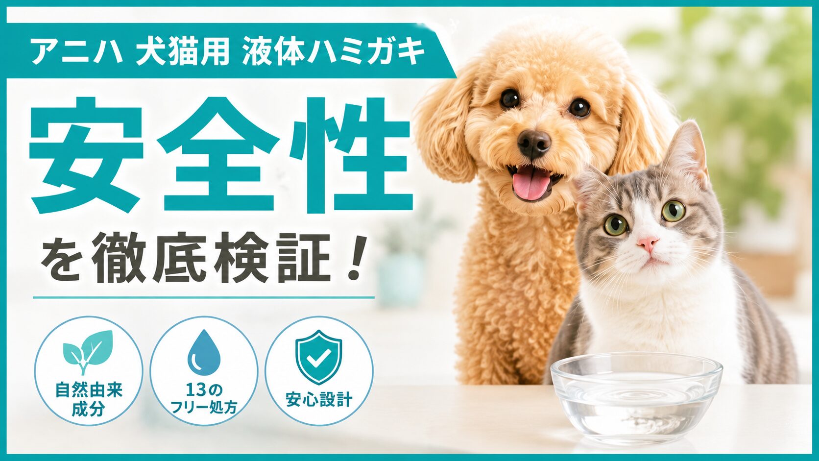 アニハ犬猫用の液体ハミガキの安全性を検証！購入前に知りたい注意点